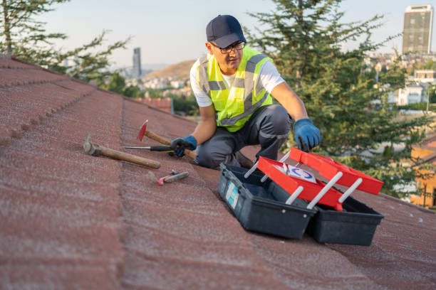 Professional Siding in Bishop, TX